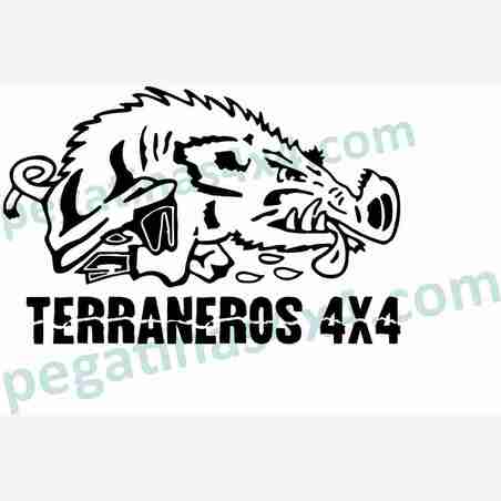 TERRANEROS 4X4  JABALI