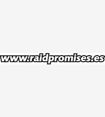 RAID PROMISES TEXTO